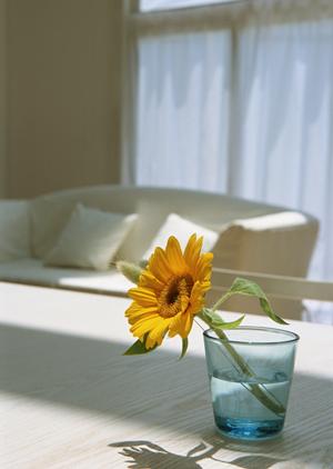 浴室ドアの交換を専門に行う千葉県の会社